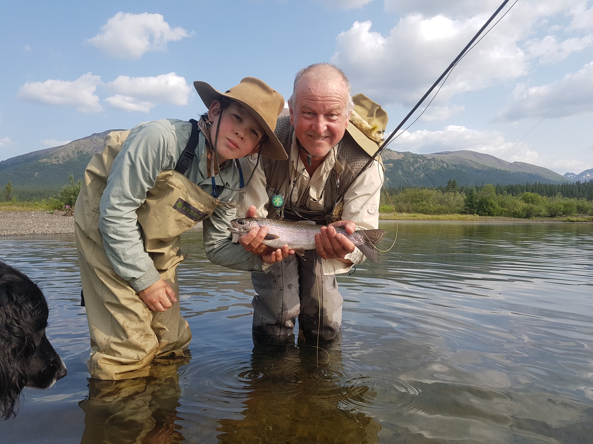 A Lake Laslui Rainbow Trout caught and released by the team at sunset today on a tiny midge fly.
